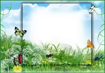 Fotografický efekt z kategorie Leto № 50891 Fotografický efekt z kategorie Leto № 50891