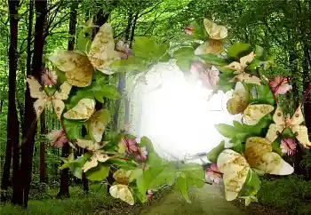 Fotografický efekt z kategorie Leto № 5287