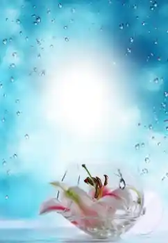 Fotografický efekt z kategorie Leto № 64487