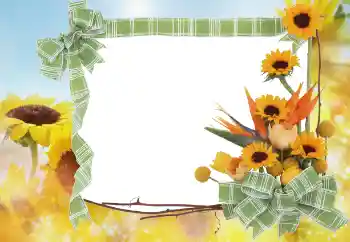 Fotografický efekt z kategorie Leto № 68445