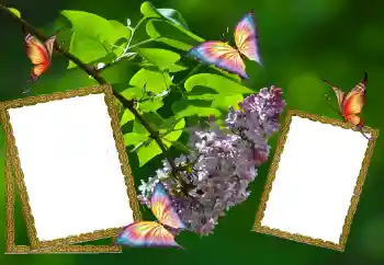 Fotografický efekt z kategorie Leto № 81627