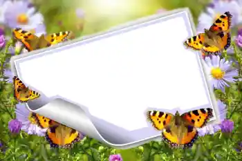 Fotografický efekt z kategorie Leto № 83943 Fotografický efekt z kategorie Leto № 83943