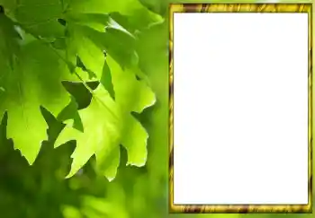 Fotografický efekt z kategorie Leto № 88033 Fotografický efekt z kategorie Leto № 88033