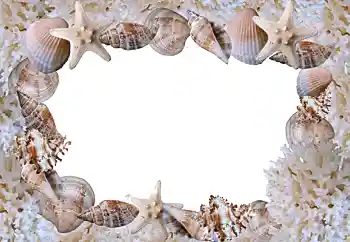 Fotografický efekt z kategorie Leto № 88088