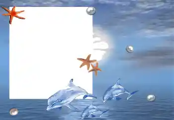 Fotografický efekt z kategorie Leto № 88120