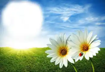 Fotografický efekt z kategorie Leto № 89268 Fotografický efekt z kategorie Leto № 89268