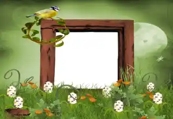 Fotografický efekt z kategorie Leto № 9650