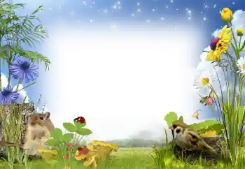 Fotografický efekt z kategorie Leto № 97486 Fotografický efekt z kategorie Leto № 97486