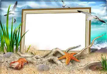 Fotografický efekt z kategorie Leto № 97613 Fotografický efekt z kategorie Leto № 97613