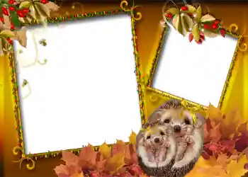 Fotografický efekt z kategorie Podzim № 1006