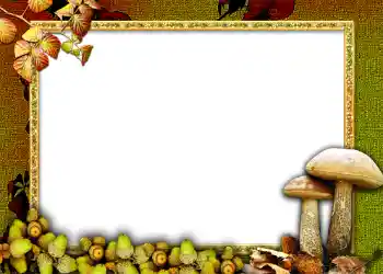 Fotografický efekt z kategorie Podzim № 1011