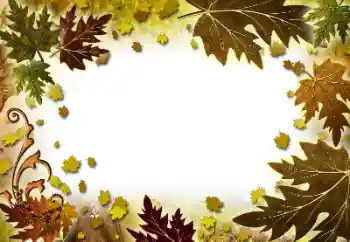 Fotografický efekt z kategorie Podzim № 101278