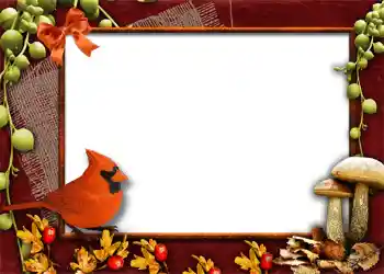 Fotografický efekt z kategorie Podzim № 1013