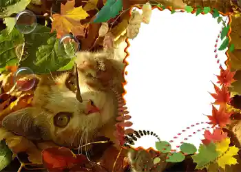 Fotografický efekt z kategorie Podzim № 1020 Fotografický efekt z kategorie Podzim № 1020