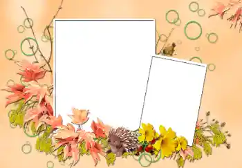 Fotografický efekt z kategorie Podzim № 103852