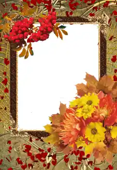 Fotografický efekt z kategorie Podzim № 103855