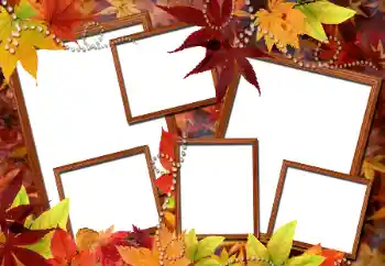 Fotografický efekt z kategorie Podzim № 112976