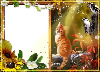 Fotografický efekt z kategorie Podzim № 1130 Fotografický efekt z kategorie Podzim № 1130