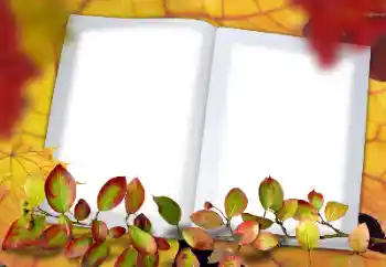 Fotografický efekt z kategorie Podzim № 114578