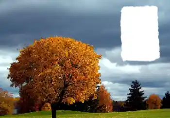 Fotografický efekt z kategorie Podzim № 125889