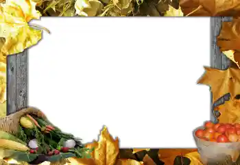 Fotografický efekt z kategorie Podzim № 127051