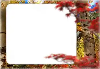 Fotografický efekt z kategorie Podzim № 127331