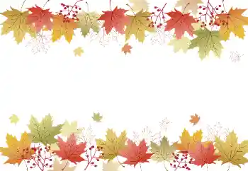 Fotografický efekt z kategorie Podzim № 128328