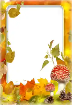 Fotografický efekt z kategorie Podzim № 142243