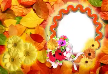 Fotografický efekt z kategorie Podzim № 142255