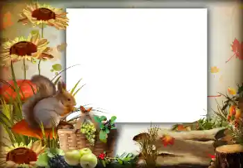 Fotografický efekt z kategorie Podzim № 142363