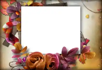 Fotografický efekt z kategorie Podzim № 142460