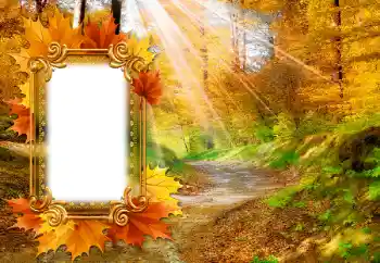 Fotografický efekt z kategorie Podzim № 142463