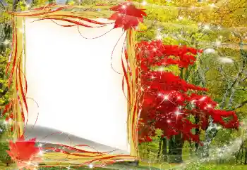 Fotografický efekt z kategorie Podzim № 143481