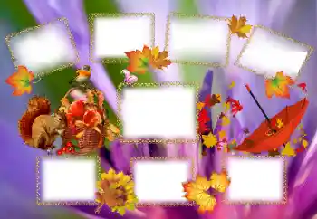 Fotografický efekt z kategorie Podzim № 143637