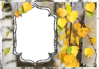 Fotografický efekt z kategorie Podzim № 144851