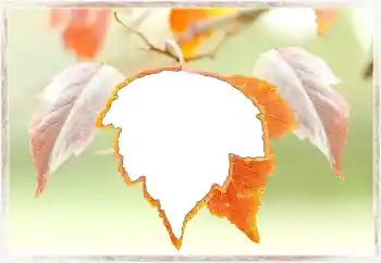 Fotografický efekt z kategorie Podzim № 145072