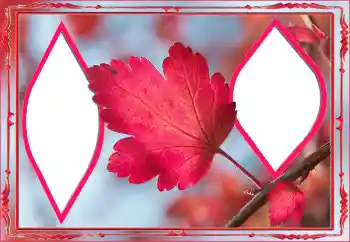 Fotografický efekt z kategorie Podzim № 145078