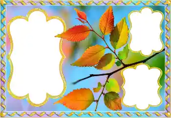 Fotografický efekt z kategorie Podzim № 145082