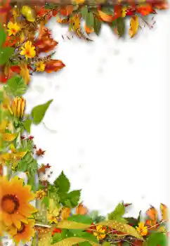 Fotografický efekt z kategorie Podzim № 157238