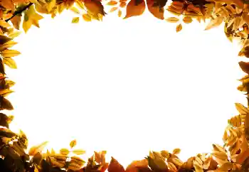 Fotografický efekt z kategorie Podzim № 158309