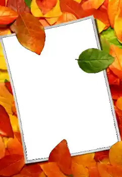 Fotografický efekt z kategorie Podzim № 159508