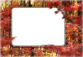 Fotografický efekt z kategorie Podzim № 160546