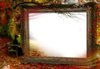 Fotografický efekt z kategorie Podzim № 160664