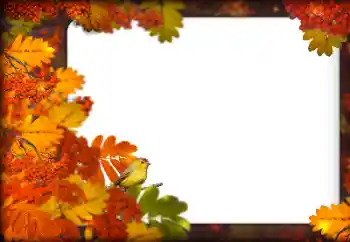 Fotografický efekt z kategorie Podzim № 160787