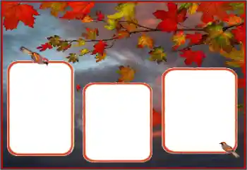 Fotografický efekt z kategorie Podzim № 162013