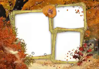 Fotografický efekt z kategorie Podzim № 162180