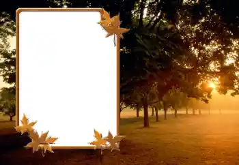 Fotografický efekt z kategorie Podzim № 166423