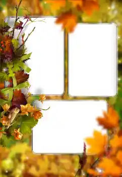 Fotografický efekt z kategorie Podzim № 176614 Fotografický efekt z kategorie Podzim № 176614