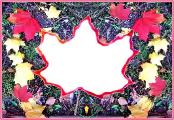 Fotografický efekt z kategorie Podzim № 190569 Fotografický efekt z kategorie Podzim № 190569