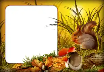 Fotografický efekt z kategorie Podzim № 190592 Fotografický efekt z kategorie Podzim № 190592